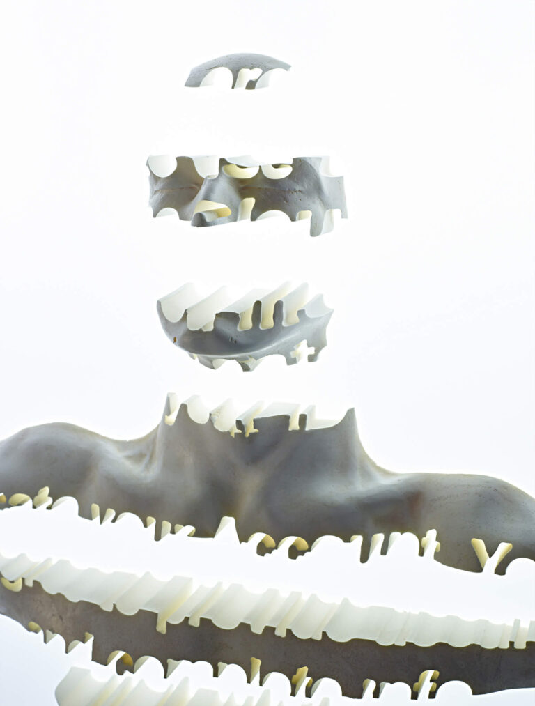 Recycle Group Enlightener 12 fragment.jpg