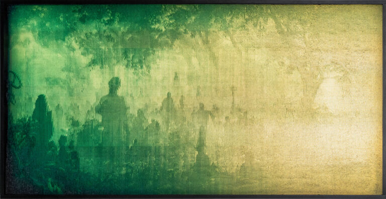 Coexistence 4